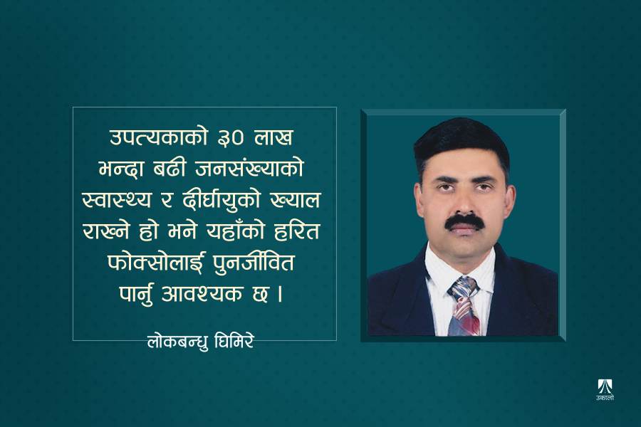 जगाउन सकिन्छ काठमाडौँ उपत्यकाको 'हरित फोक्सो'