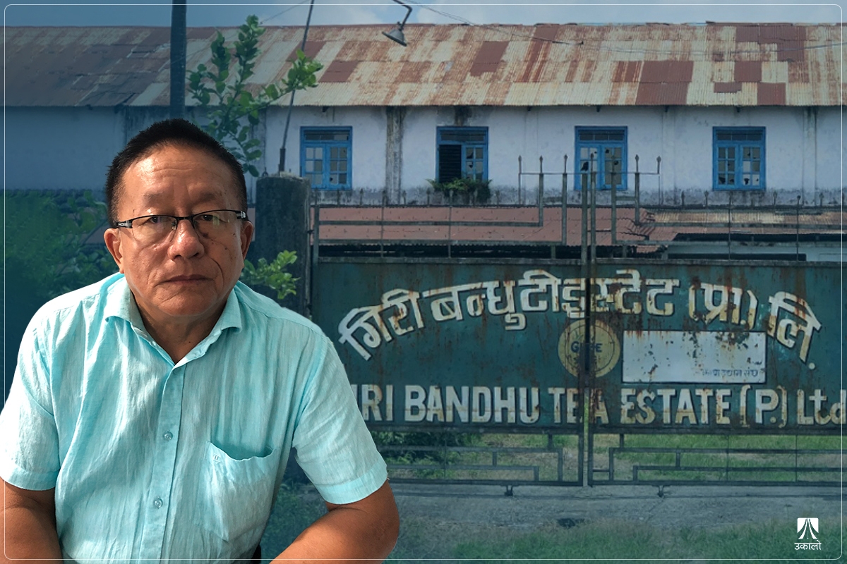 ‘मैले गिरीबन्धु टी–इस्टेटको जग्गा प्रतिबिघा ७५ लाखमा ३८ बिघा किनेको हुँ’ : विष्णुकुमार राई (जग्गा व्यवस्थापक)