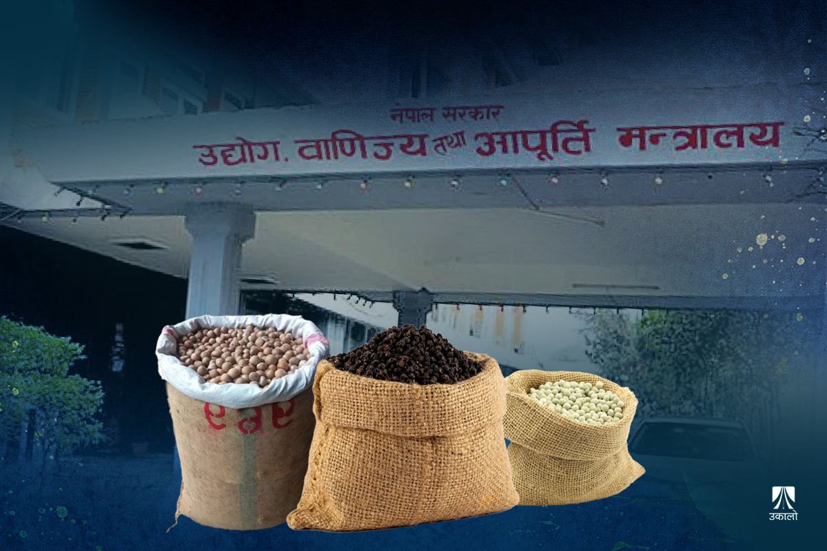 सुपारी, केराउ र मरिच आयात अनुमतिको अन्तर्यः डलरमा भित्र्याएर भारत तस्करी