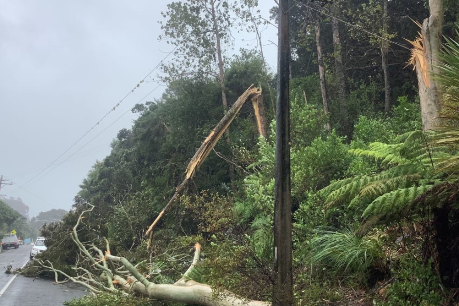 साइक्लोनका कारण न्युजिल्यान्डमा आपतकाल घोषणा