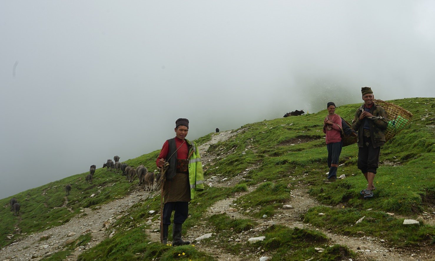 वृद्धहरूले धानेको गोठ