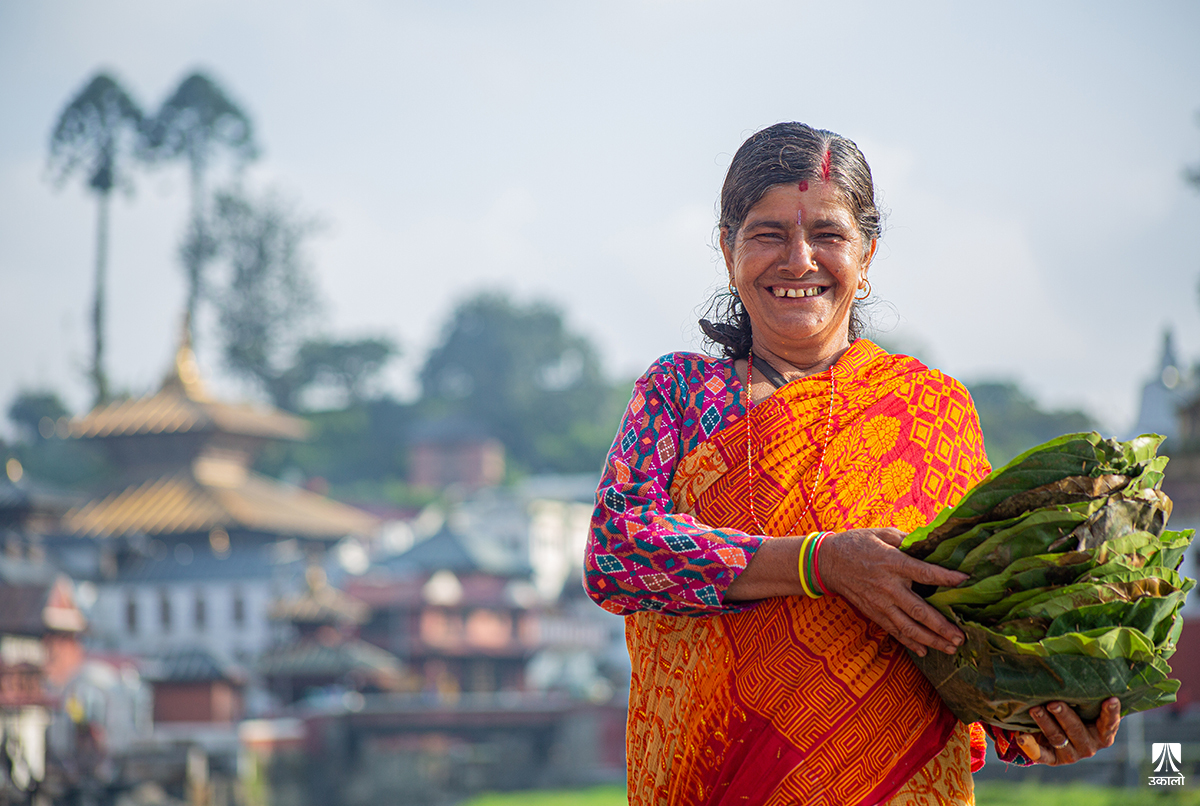 पशुपतिमा दुनाटपरी गाँस्दा खुशी भेटिरहेकी गायत्री आमा (तस्वीर–कथा) 