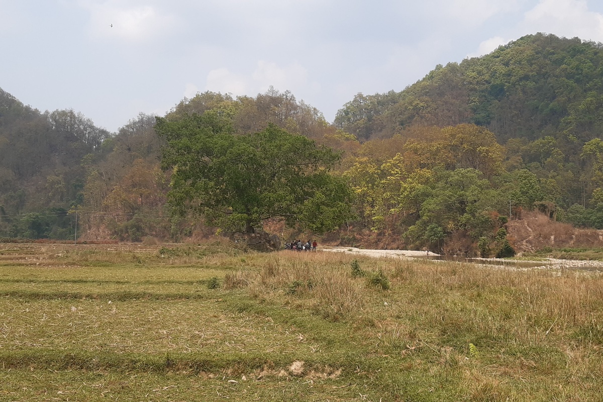 सुरौदी जलाधारः पुल नहुँदा जोखिम, कटान नियन्त्रण नहुँदा बगर