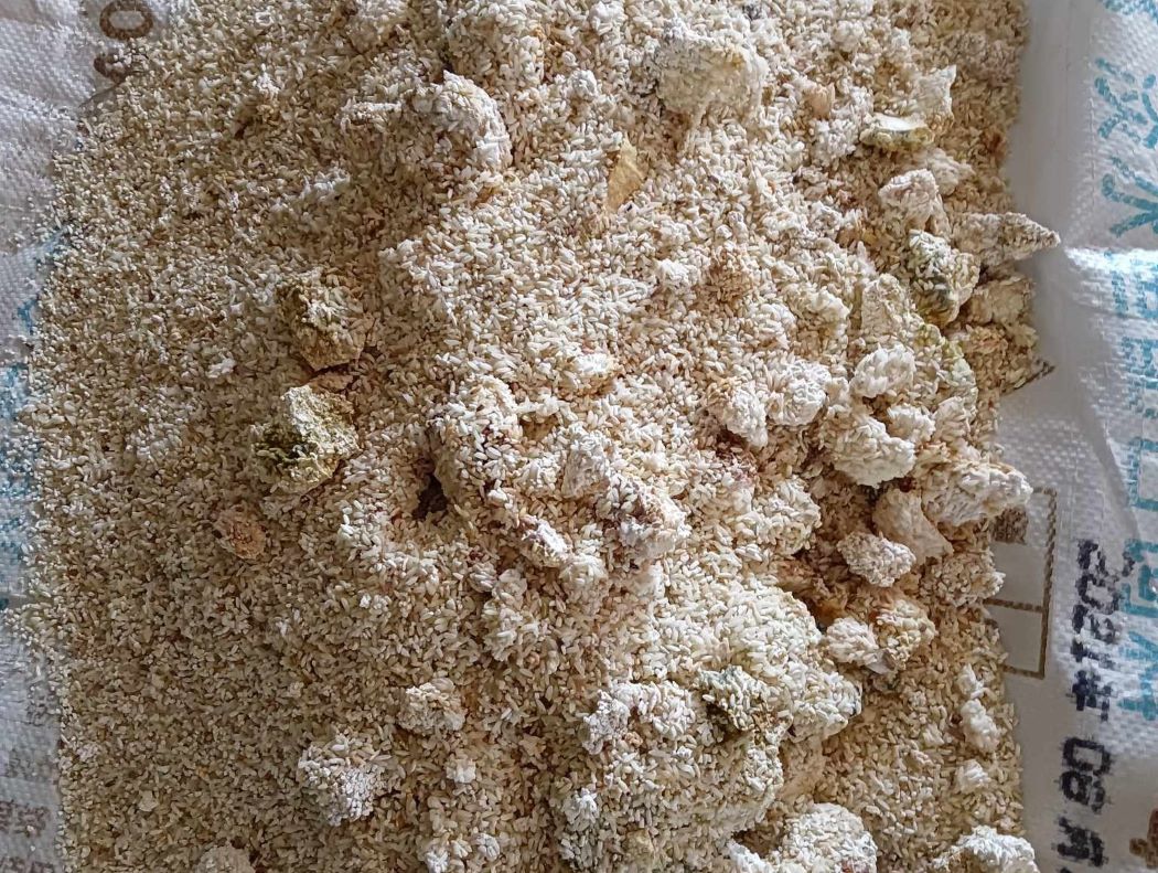 खाद्यको सिमकोट शाखाले बेच्यो कुहिएको चामल