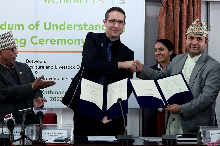 सरकार र अन्तर्राष्ट्रिय मकै तथा गहुँ सुधार केन्द्रबीच १० वर्षे समझदारी 