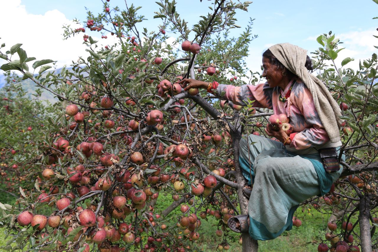 मुगुका पत्रकारले खिचेको तस्वीरलाई नेपालगन्ज फोटो फेस्टिभलको ‘वर्ष फोटो’ उपाधि