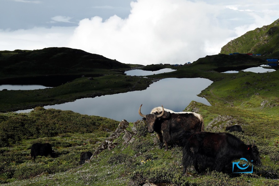 जनैपूर्णिमाको गन्तव्य पाँचपोखरी (तस्वीरहरू)