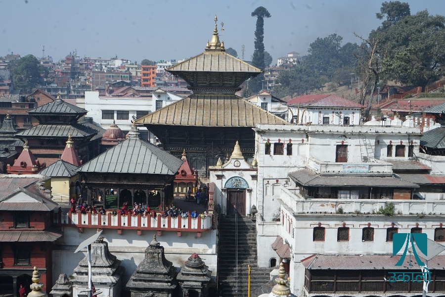 पशुपतिमा एकदिन (तस्वीरहरू)