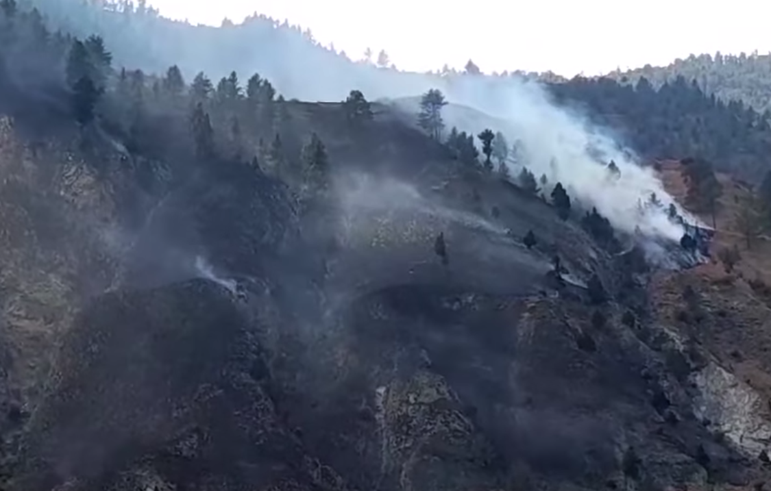 डढेलोबाट घाइते भएकाको निःशुल्क उपचार र मृतकका परिवारलाई राहतको माग