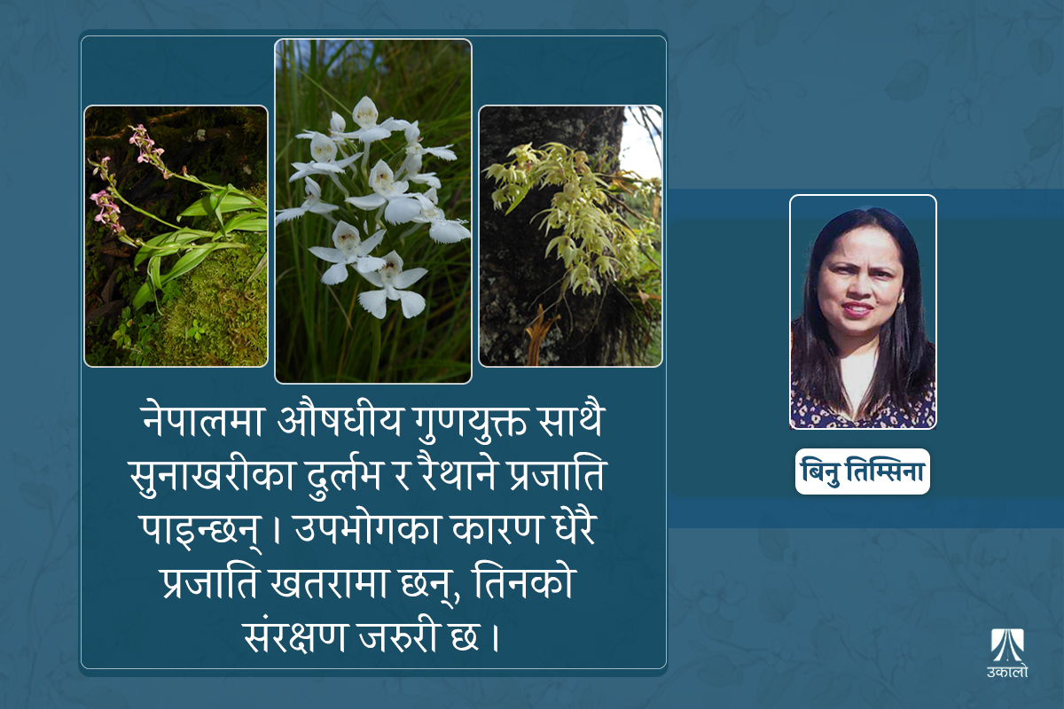 नेपाली सुनाखरी प्रजाति ५०० भन्दा बढी: संरक्षण र अनुसन्धान भने कम