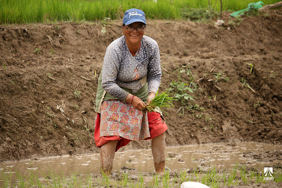 कीर्तिपुरमा असार १५ को रौनक [तस्वीरहरू]