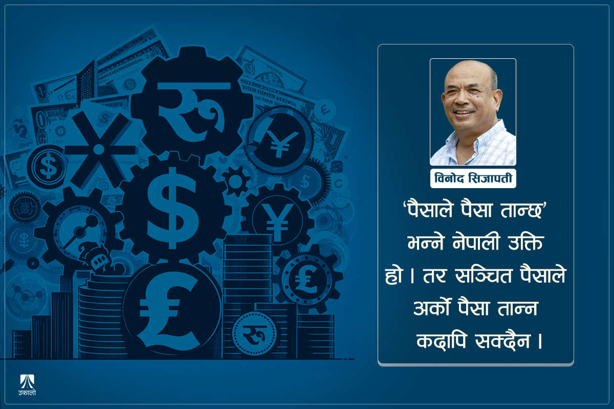 अर्थतन्त्रको आकार, राष्ट्रिय ऋण भार तथा सञ्चित विदेशी मुद्रा