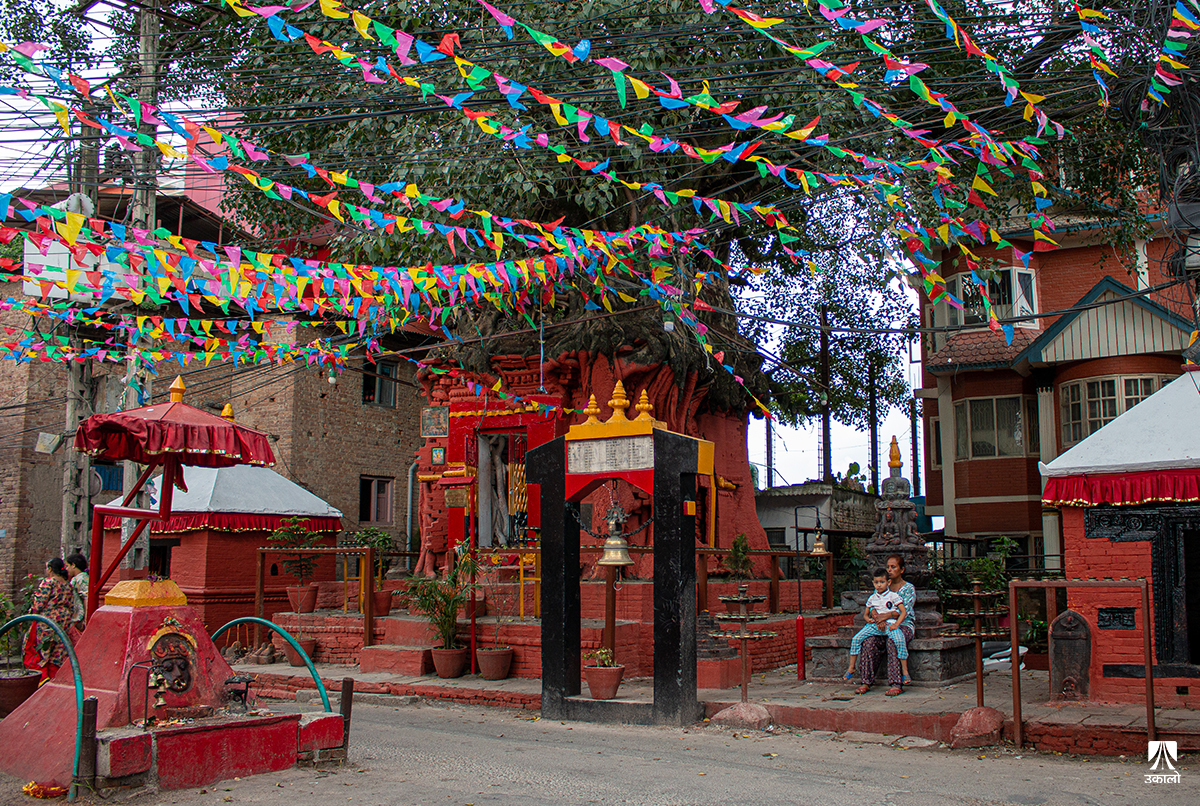 लिच्छविकालीन हाँडीगाउँ झल्काउने अबको हाँडीगाउँ