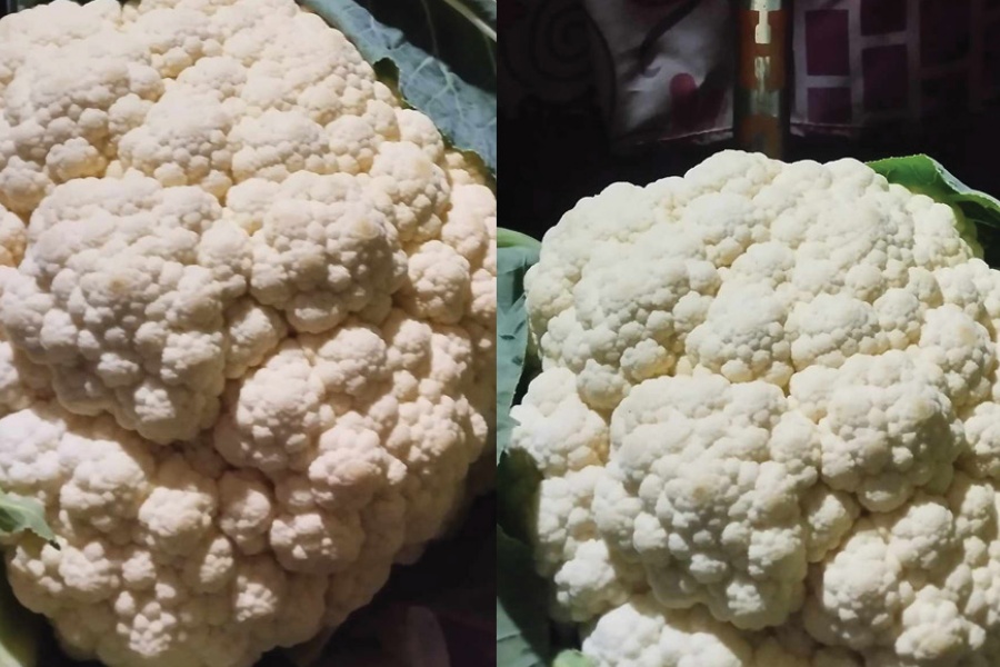 बागलुङमा फल्यो ९ किलोको काउली