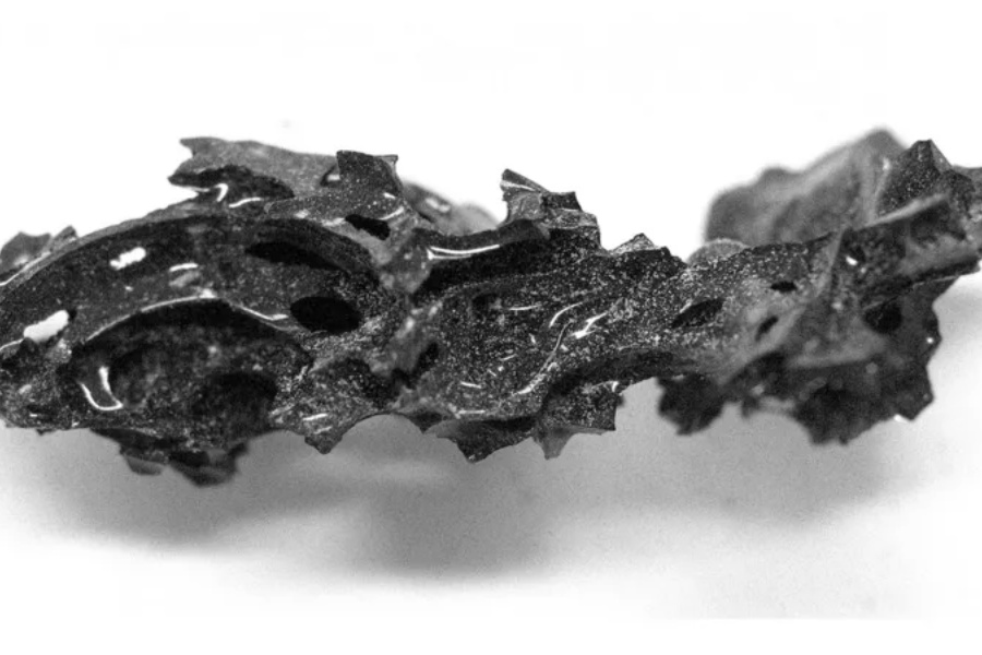 काँचमा कसरी परिणत भयो मानव मस्तिष्क?