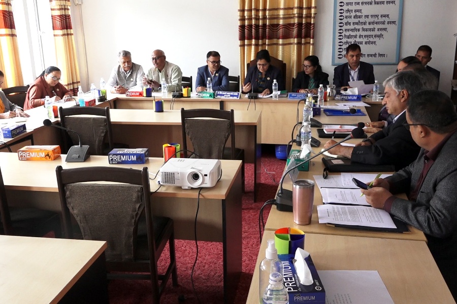 देशको वर्तमान राष्ट्रिय सुरक्षा नीति सार्वजनिक गर्न विज्ञहरूको माग