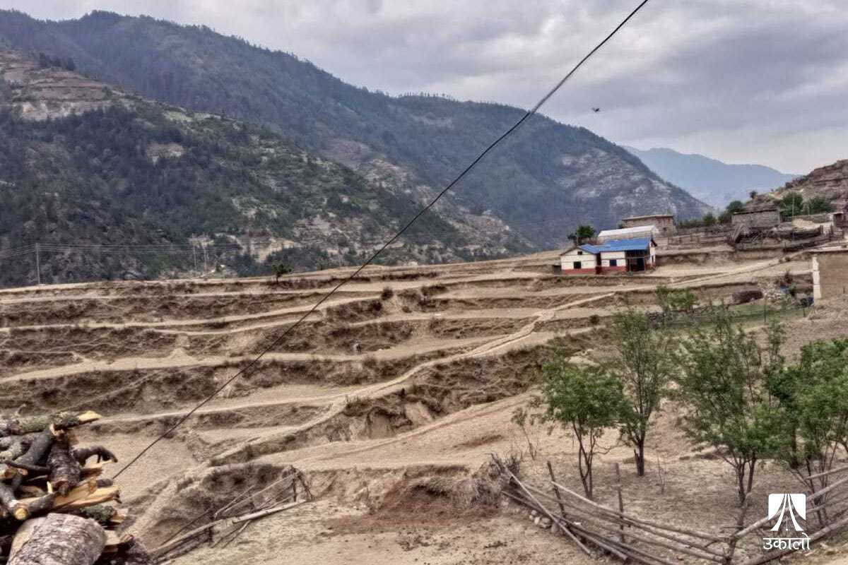 जुम्लामा खडेरीले खेतबारी खाली (तस्वीर कथा)