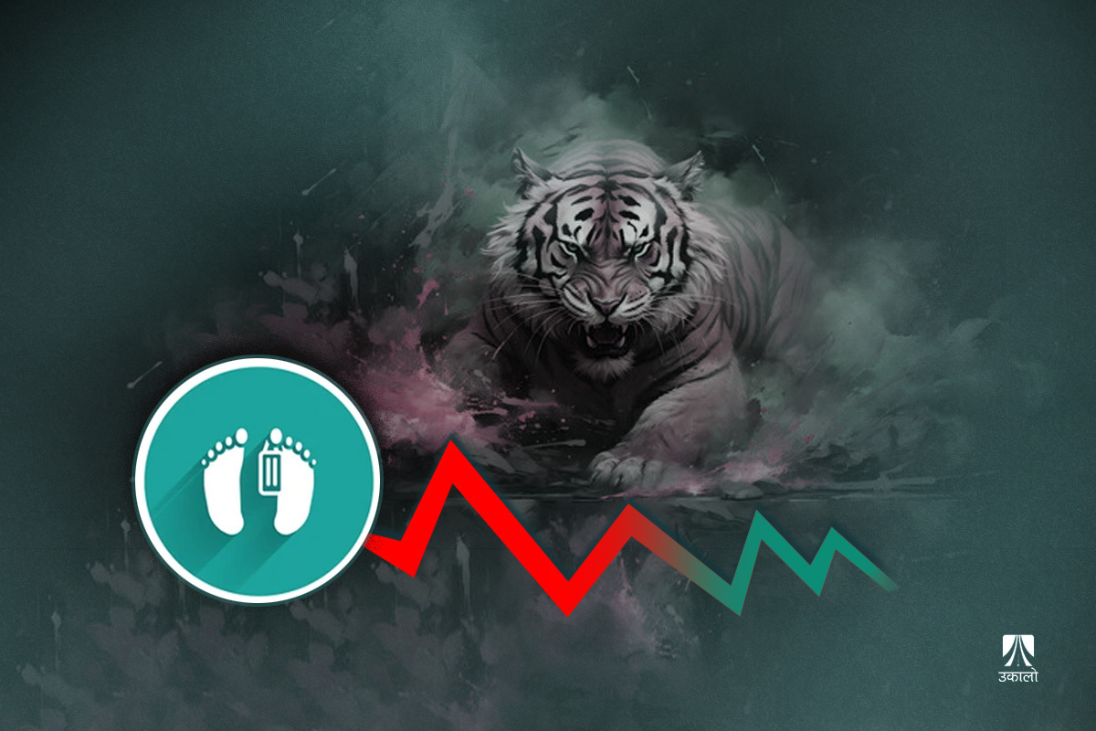 किन बढ्दैछ मानिसमाथि बाघको आक्रमण? 