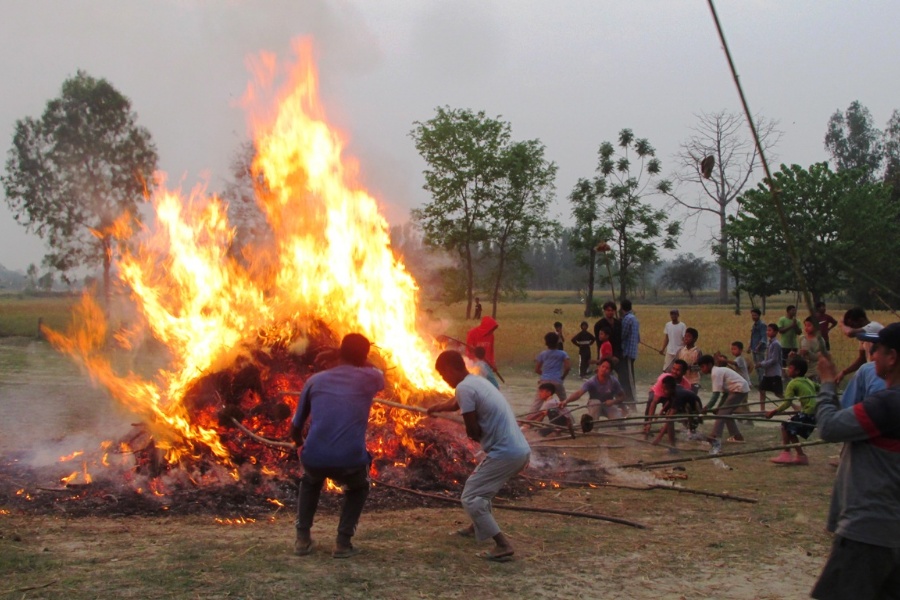 परम्परागतरूपमा होली मनाउँदै कञ्चनपुरका थारू समुदाय