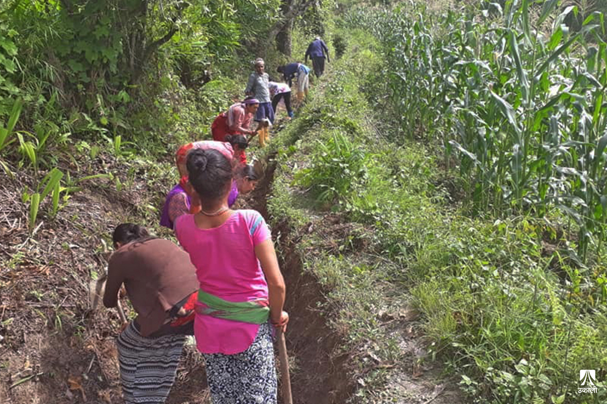 प्रधानमन्त्री रोजगार कार्यक्रममा सूचीकृत भएकाहरूलाई पुनर्निर्माणमा खटाइने