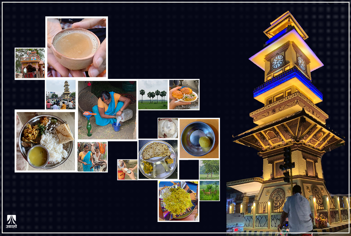 बाफिलो वीरगन्जमा स्वादसँग सयर