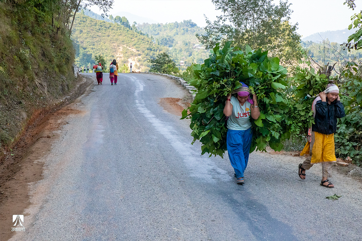बदलिएका बाटाघाटामा नबदलिएको जीविका (तस्वीरहरू)