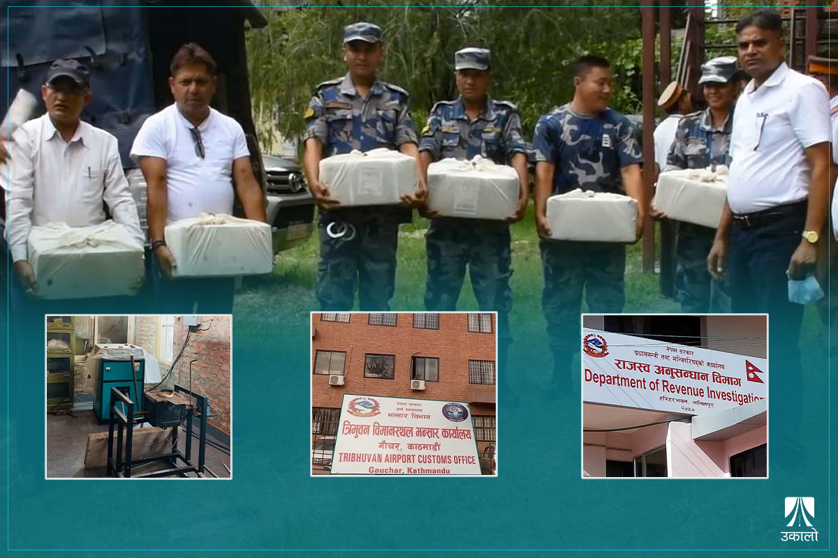 न्यूजलेटर: सेलाउन नसकेको सुन चर्चा