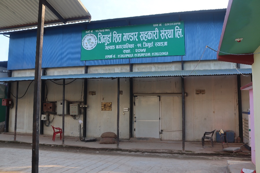 एउटै गाउँबाट २ करोड ६० लाखको बिउ आलु बिक्री