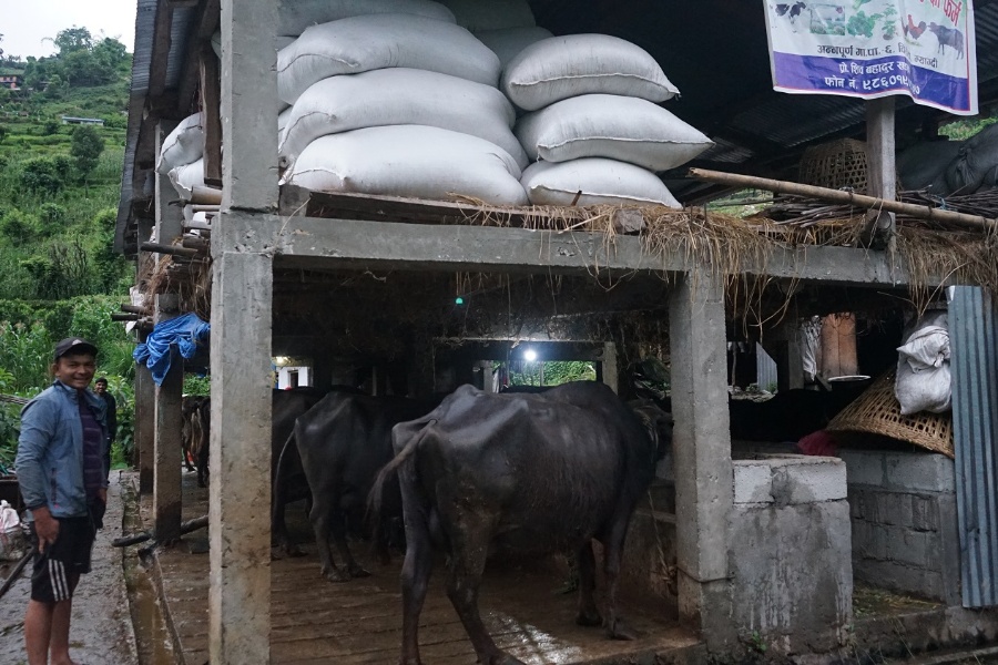 गहुँतबाट मल र जैविक विषादी उत्पादन गर्दै किसान