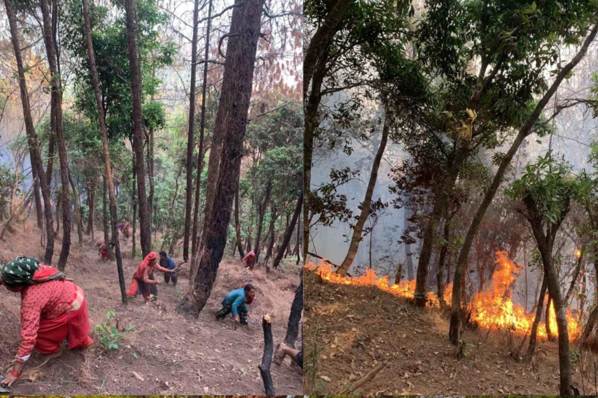 गोदावरीमा डढेलो निभाउने क्रममा घाइते भएका १ जनाको मृत्यु