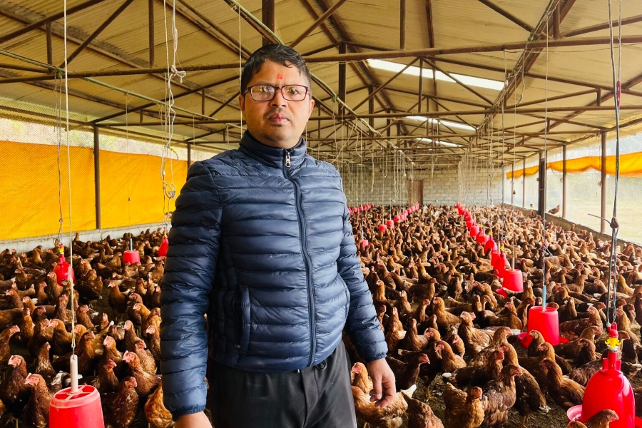 १२ वर्ष कतार बसेर फर्केका शर्मा कुखुरा पालनमा, मासिक डेढ लाख बचत