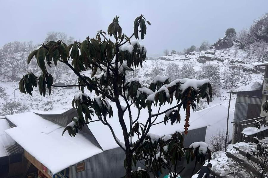 हिमपातपछि सेताम्मे पाथीभरा क्षेत्र\n\n