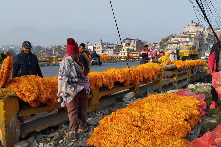 तिहारलाई फूलको जोहो