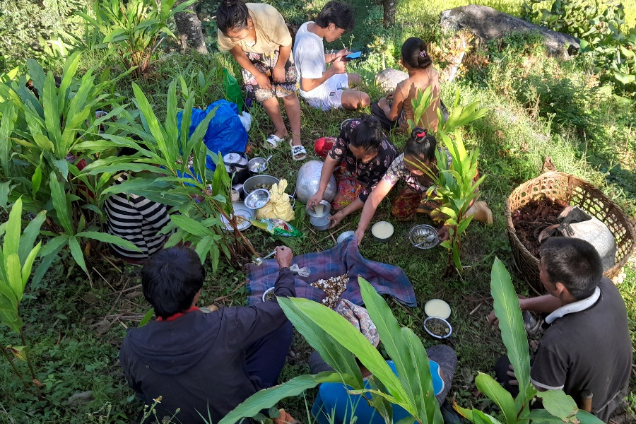 अलैँची टिप्न किसानलाई चटारो, बगानमै मनाए दशैँ