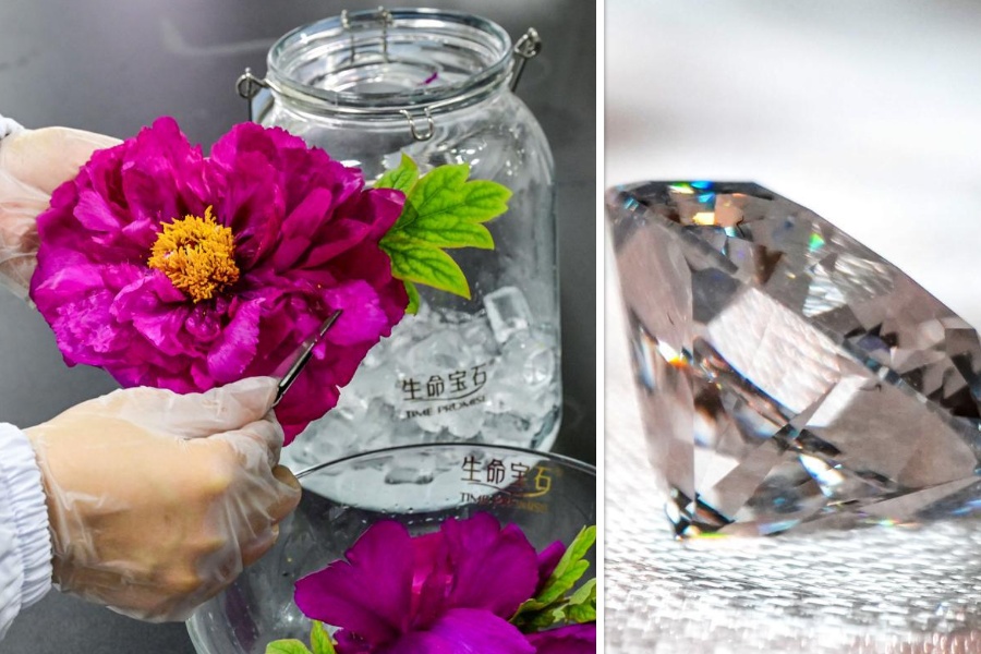 चिनियाँ वैज्ञानिकले बनाए फूलबाट हिरा, तर कसरी?