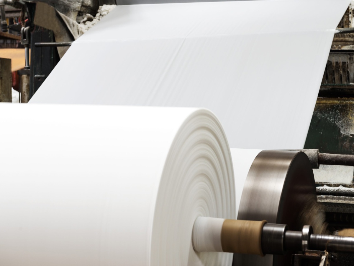 विद्युत् नजोडिँदा अर्बौं लगानीको पेपर मिलले उत्पादन शुरू गर्न सकेन