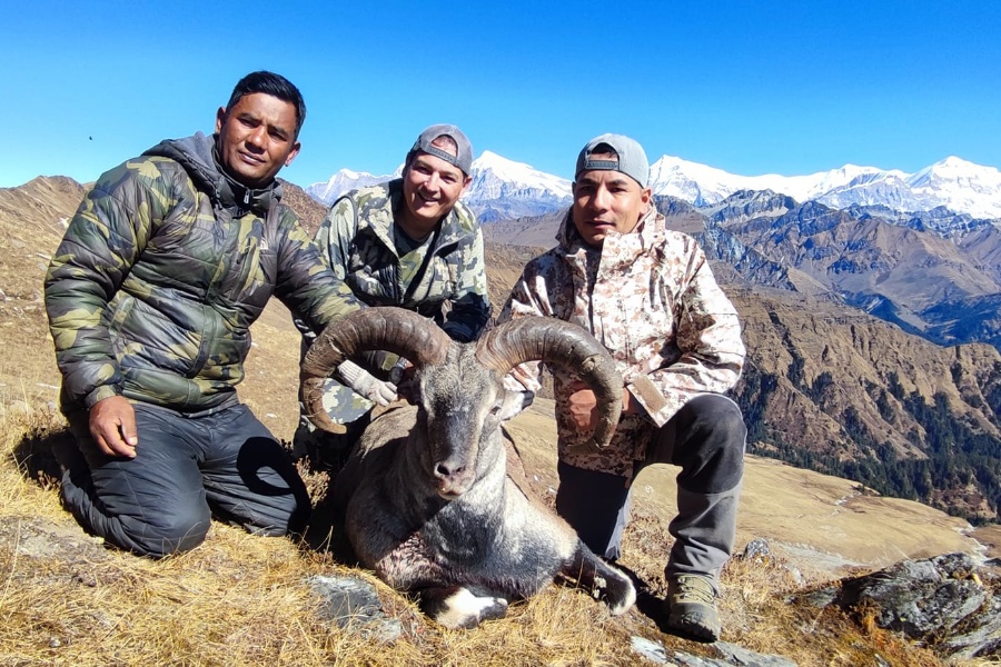 पहिलो याममा १० नाउर र ५ झारलको सिकार