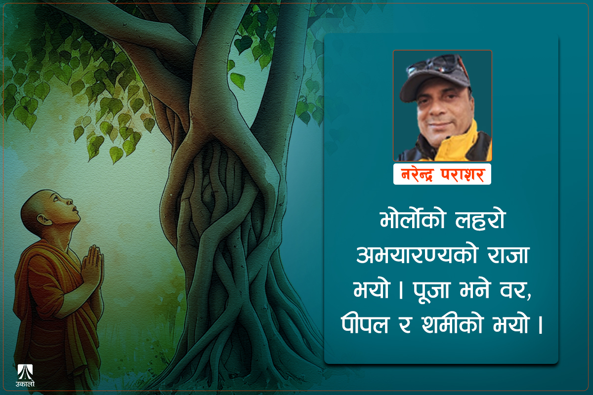 वन मुद्दाको फैसला