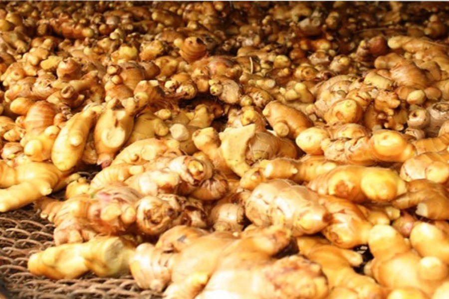 विदेशी बजारमा कर्णालीको अदुवा