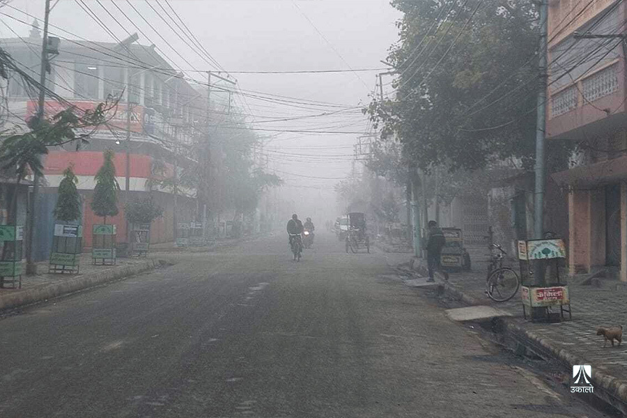 शीतलहरले तराईमा रातिभन्दा दिउँसोको तापक्रम कम, विज्ञ भन्छन्- अझै १५ दिन घाम लाग्दैन