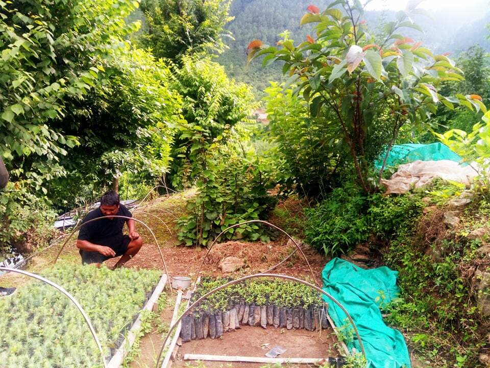 रोल्पाका स्थानीय तहको कृषि नीति : उत्पादनले बजार नपाए क्षतिपूर्तिदेखि कर खारेजीसम्म