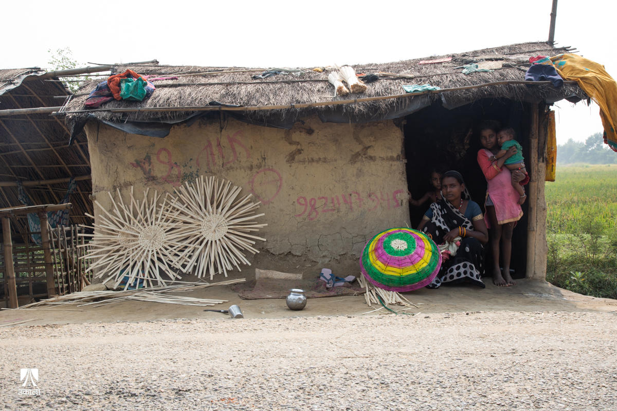 शीतलहरबाट दलित मुसहर परिवार समस्यामा