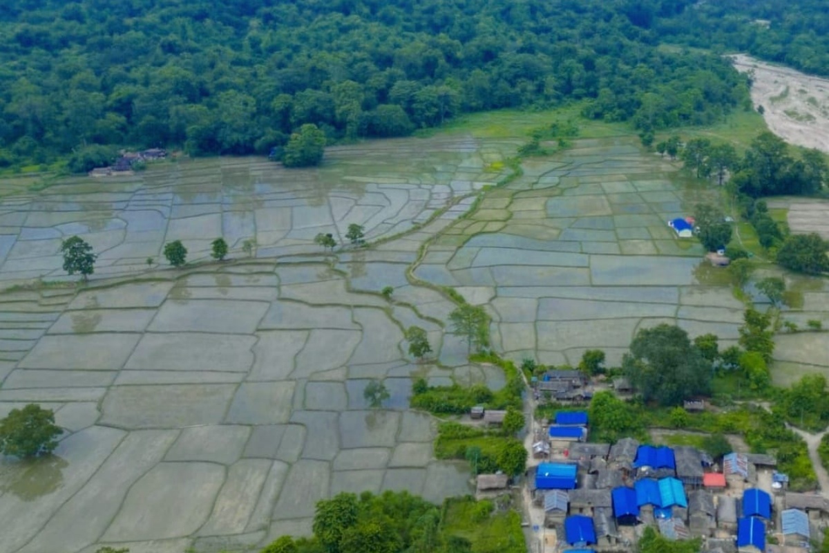 शिकारीबासमा फोन गर्न रूख चढ्नुपर्ने बाध्यता