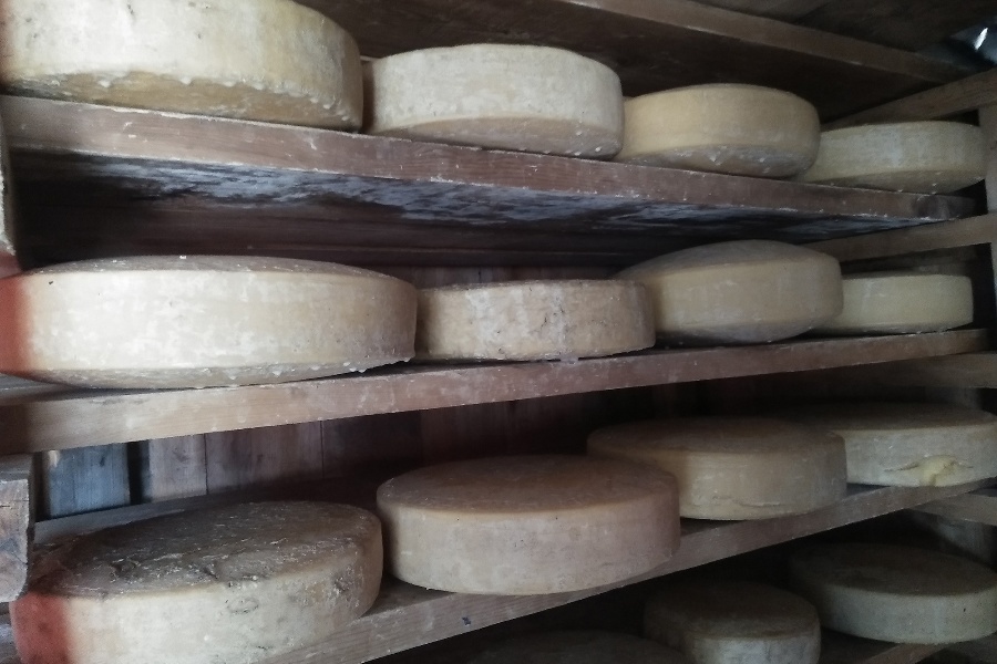 सरकारी स्वामित्वको पसलमै गुणस्तरहीन चिज बिक्री, १० हजार जरिबाना