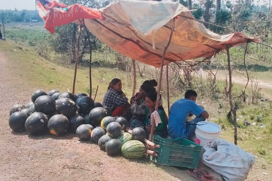 खरबुजा बिक्रीबाट जीविकोपर्जन 