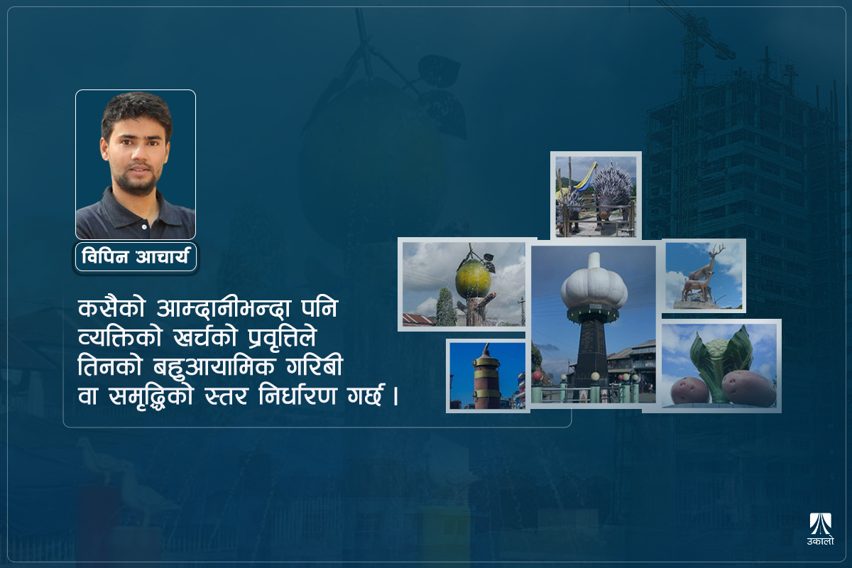 'ट्याक्सपेयर'को पैसा, विवेकहीनहरूको रजाइँ