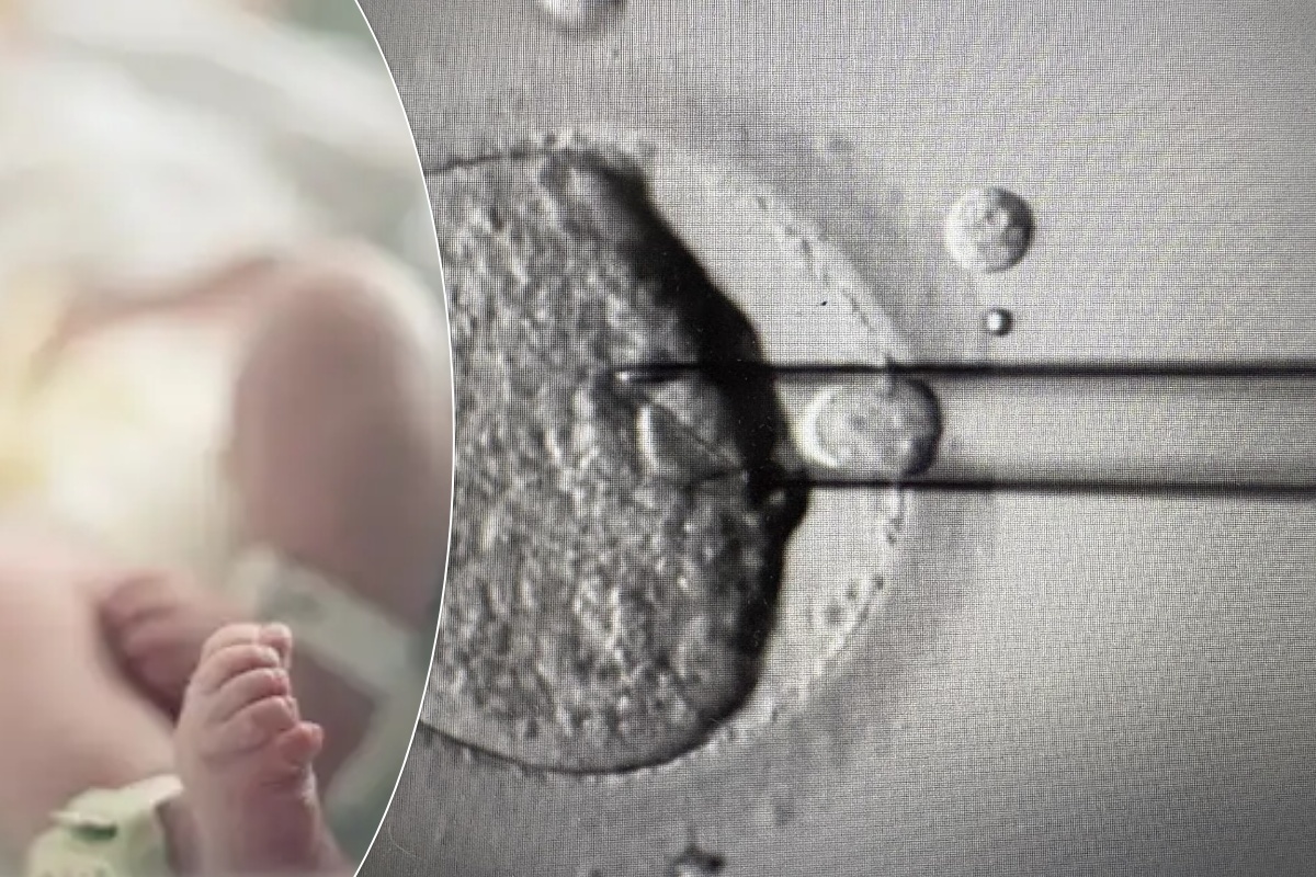 बेलायतमा ३ व्यक्तिको डीएनएबाट जन्मिए आनुवंशिक रोगमुक्त ८ शिशु