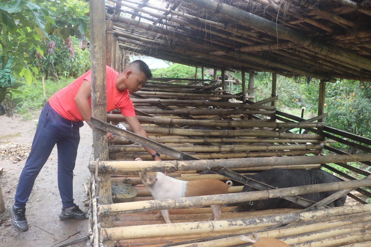 बंगुरपालनमा भविष्य खोज्दै भोजपुरका सुगम