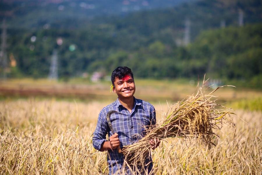 धान स्याहार्ने चटारो