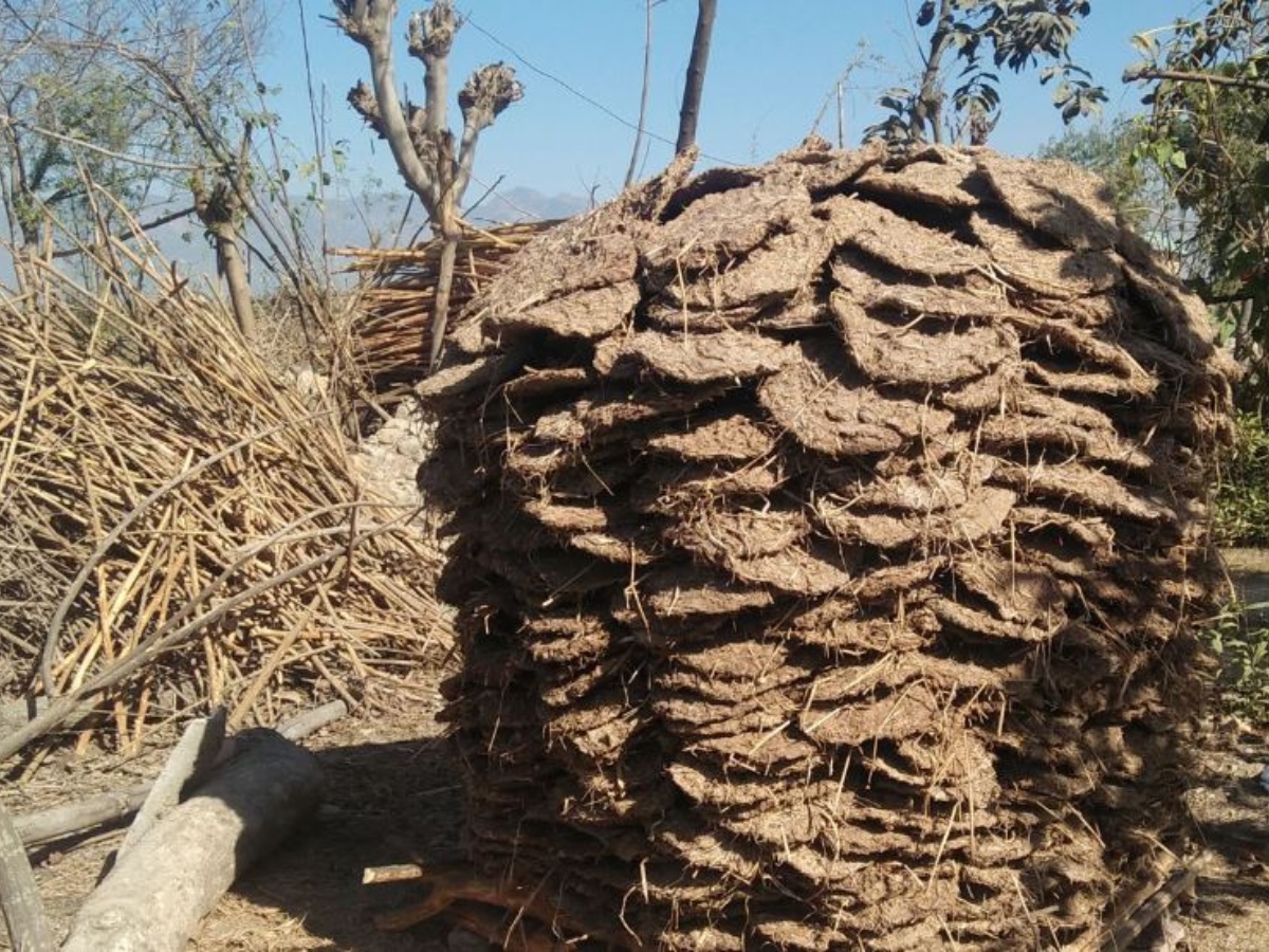 ग्यास चलाउन नसक्नेले दाउराको विकल्प गुइँठा बाल्नुपर्ने बाध्यता